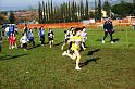 Perugia 2008 204